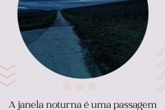 (Lote 1) boa noite julho 2023 - 96