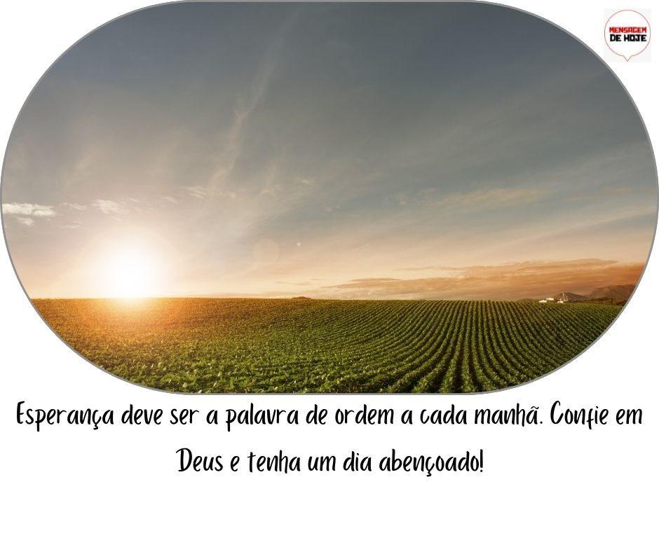 Bom Dia 19 de março de 2022 14 Bom Dia 19 de março de 2022 13