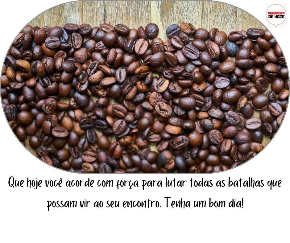 Bom Dia 19 de março de 2022 16 Bom Dia 19 de março de 2022 15
