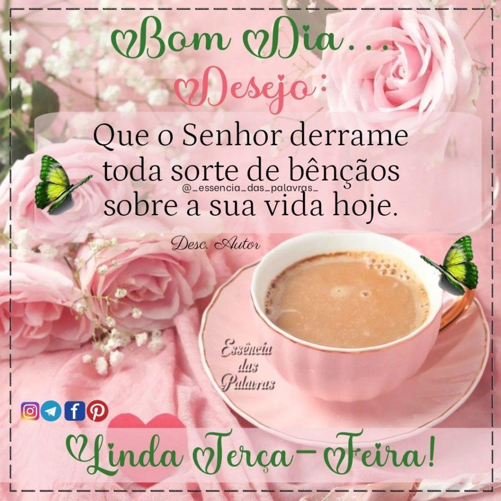 Bom Dia 31 de março de 2022 39