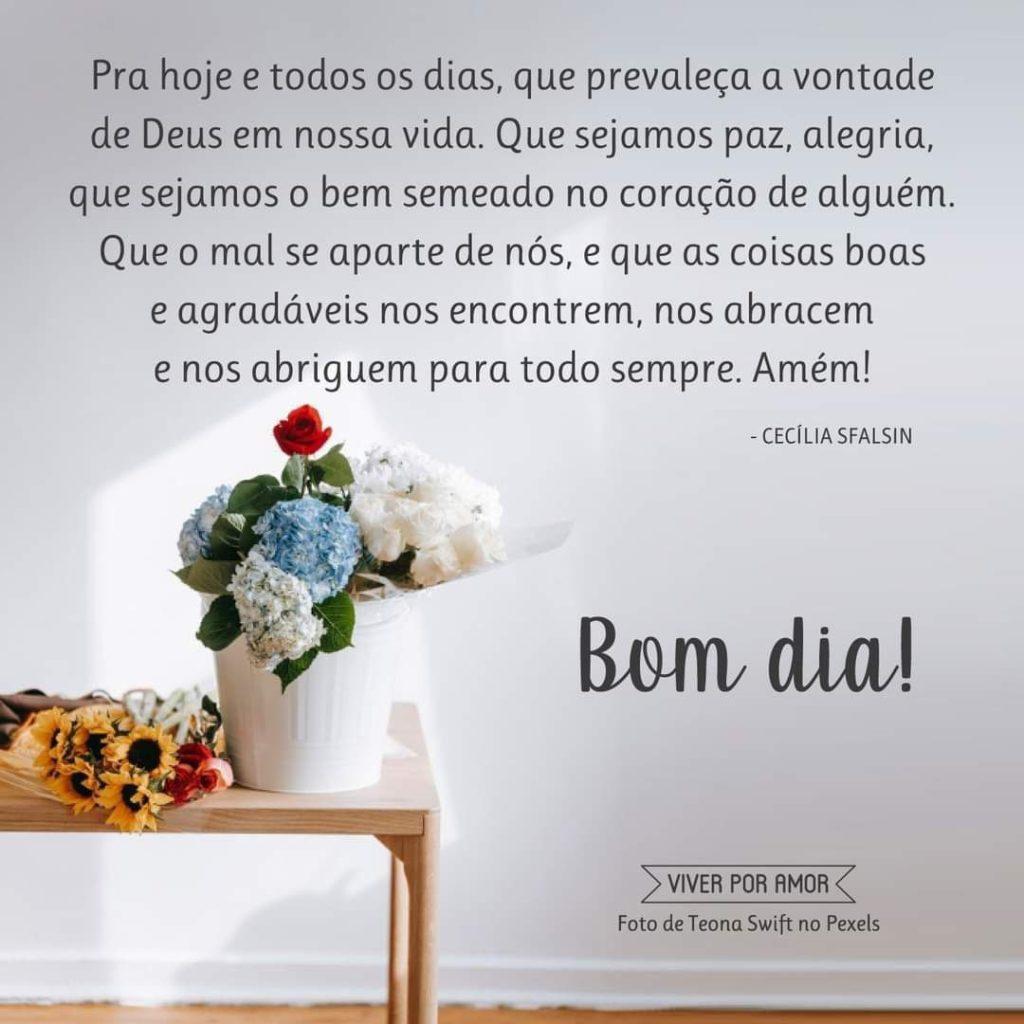 Bom Dia 30 de março de 2022 47