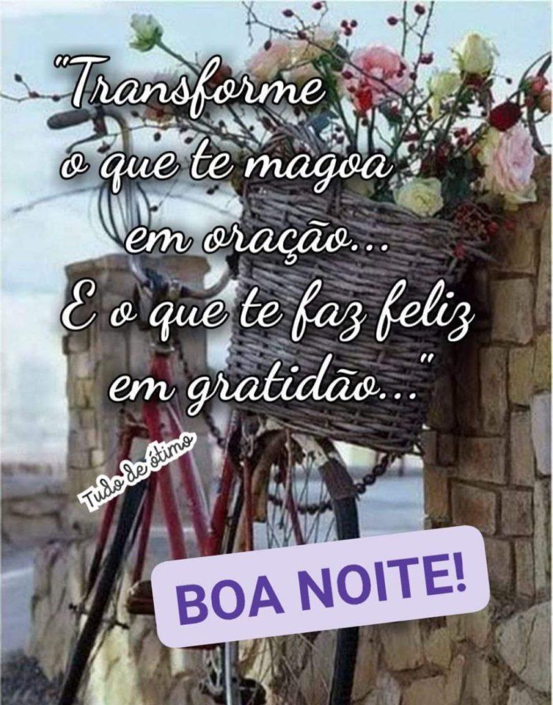 Boa Noite 31 de março de 2022 35
