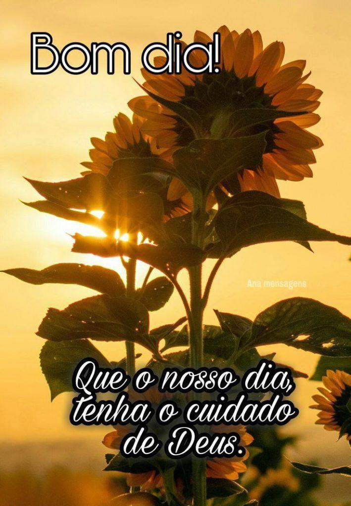 Bom Dia 28 de março de 2022 31