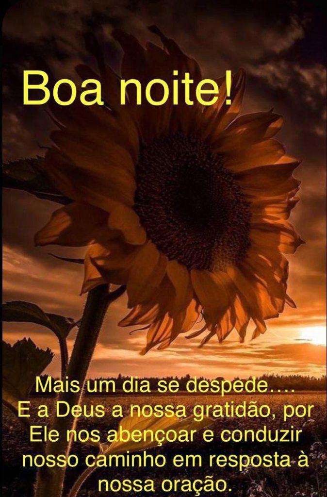 Boa Noite 28 de março de 2022 35