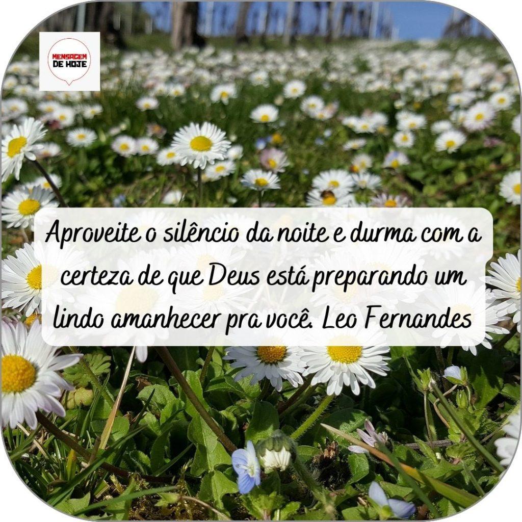 Boa Noite 26 de abril de 2022 9
