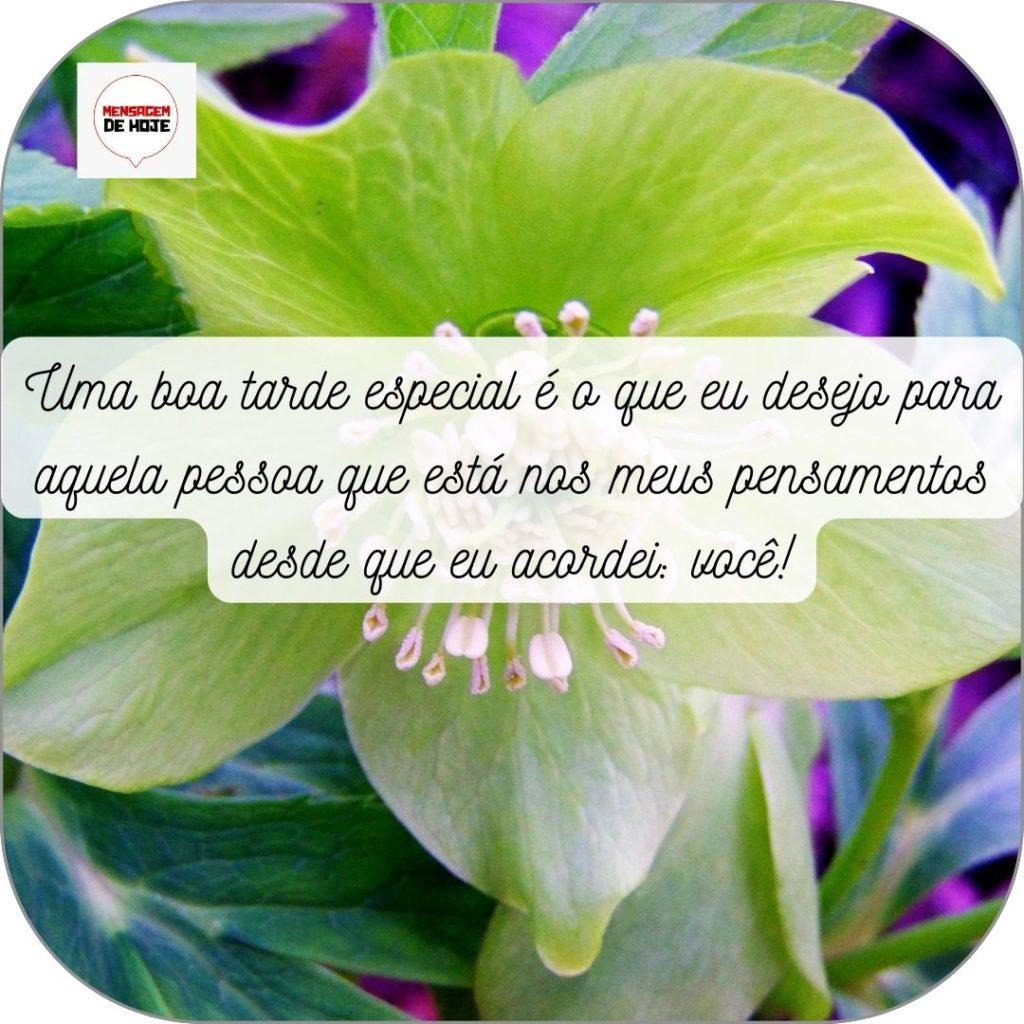 Boa Tarde 04 de Maio de 2022 11