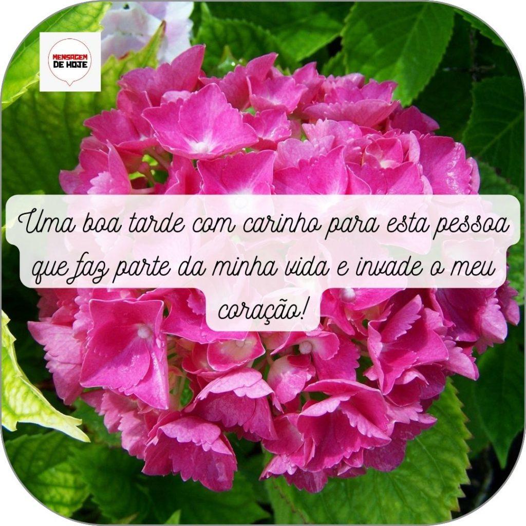 Boa Tarde 04 de Maio de 2022 19