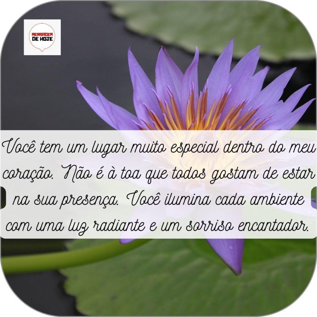 Boa Tarde 03 de Maio de 2022 7
