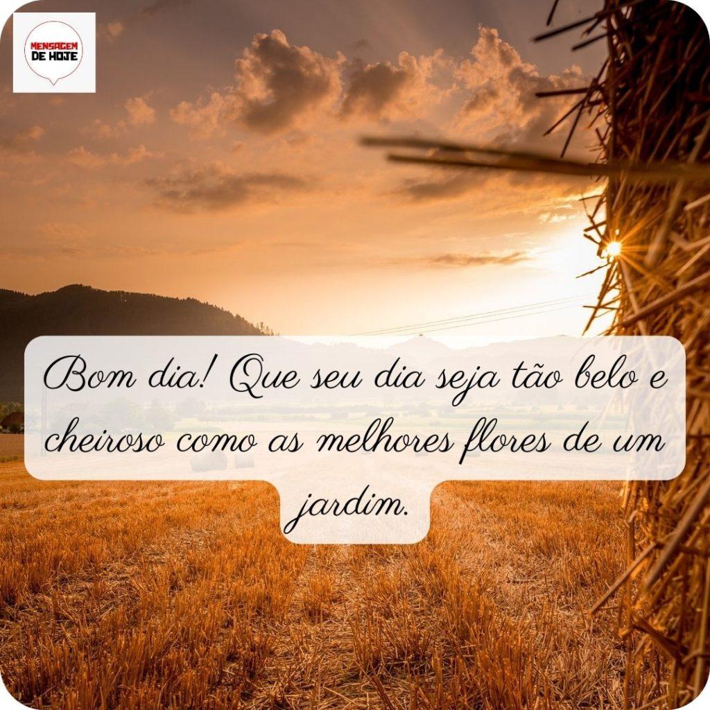 Bom Dia 28 de abril de 2022 9