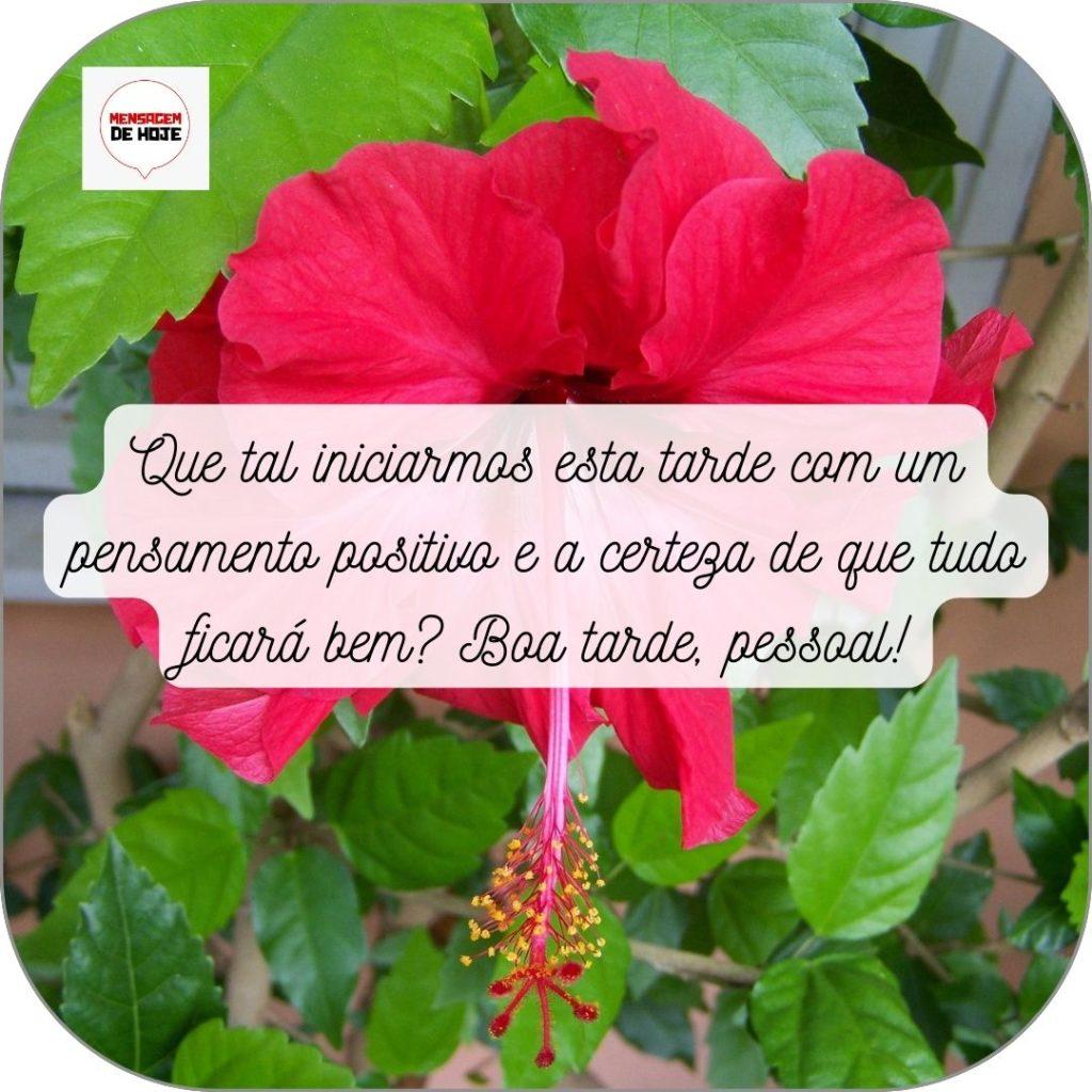 Boa Tarde 05 de Maio de 2022 11
