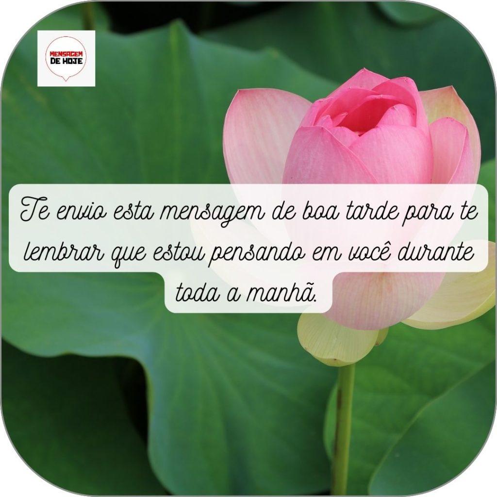 Boa Tarde 05 de Maio de 2022 15