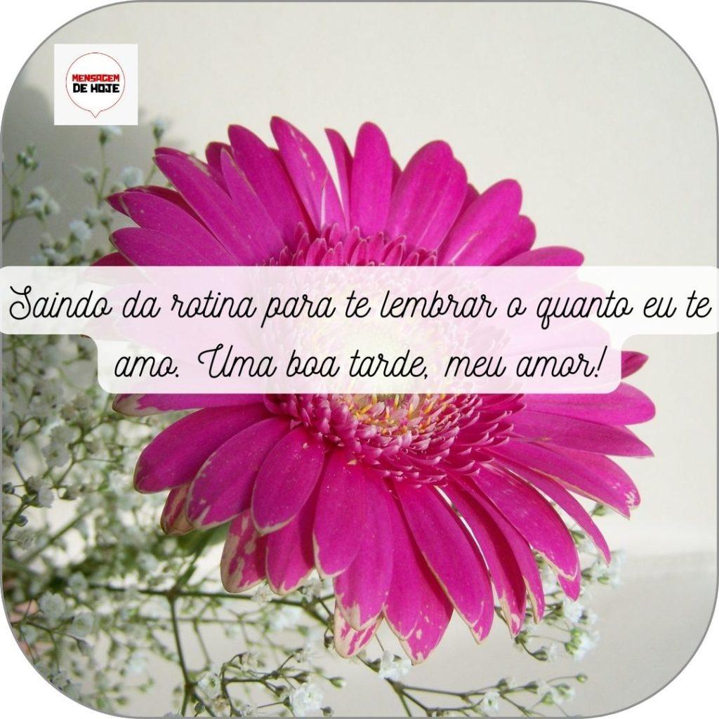 Boa Tarde 05 de Maio de 2022 19