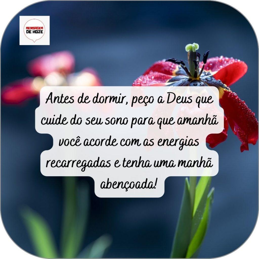 Boa Noite 28 de abril de 2022 7