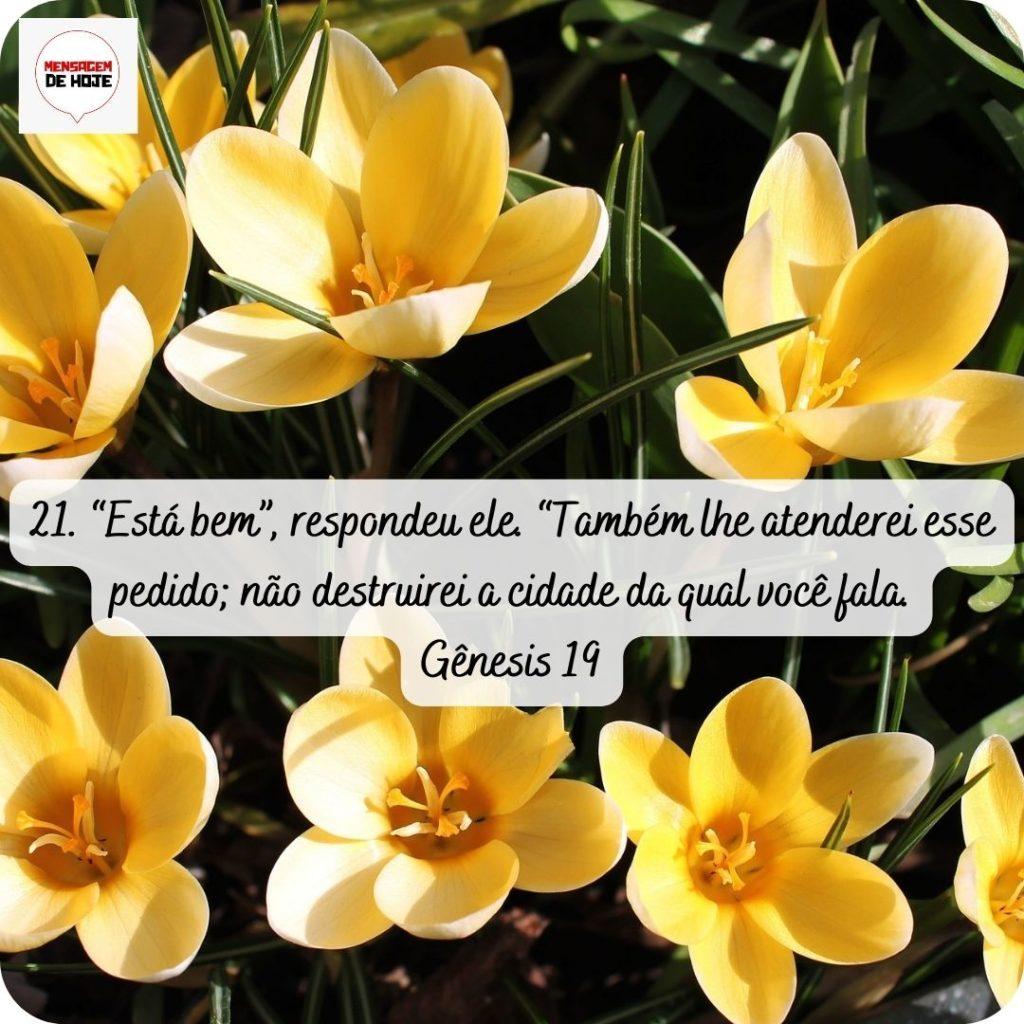 Salmos 17 de abril de 2022 5