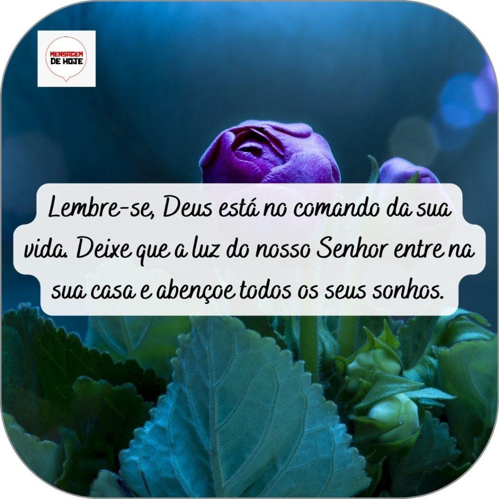 Boa Noite 29 de abril de 2022 15