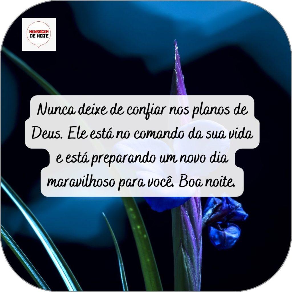 Boa Noite 29 de abril de 2022 3