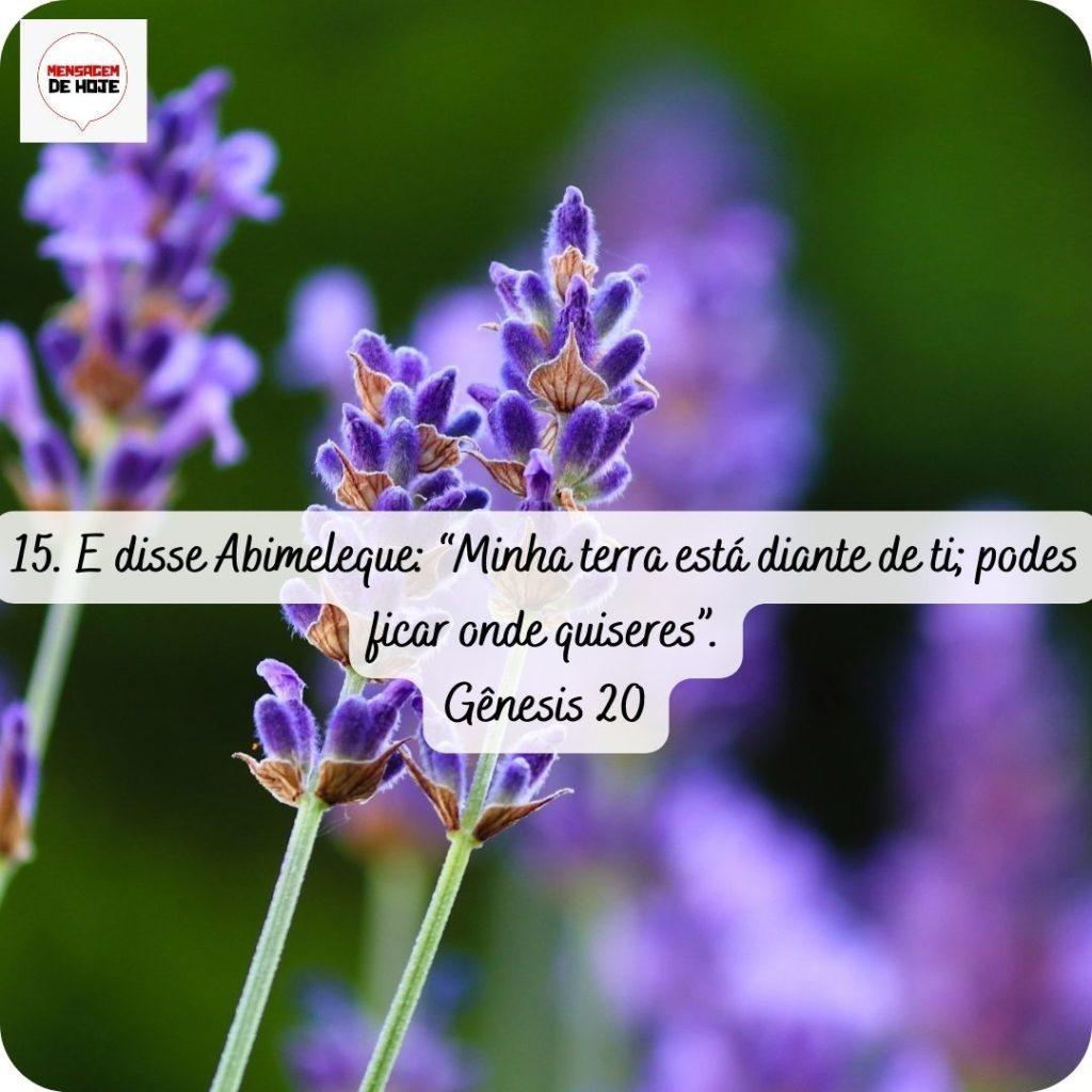 Salmos 21 de abril de 2022 9