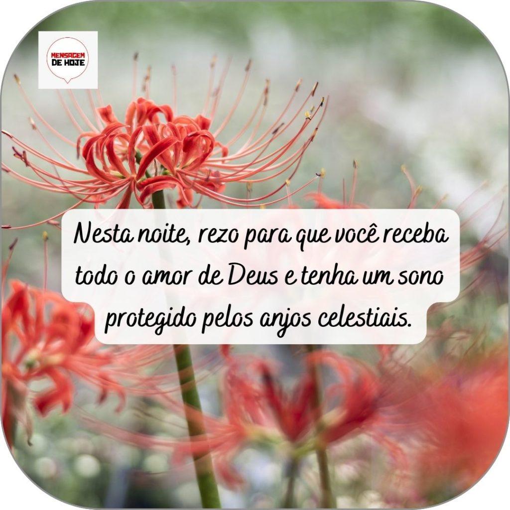 Boa Noite 29 de abril de 2022 7