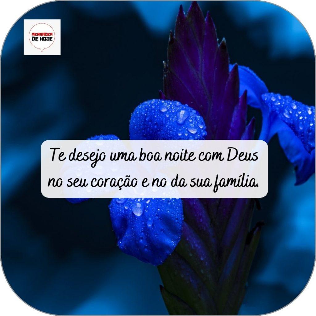 Boa Noite 29 de abril de 2022 11