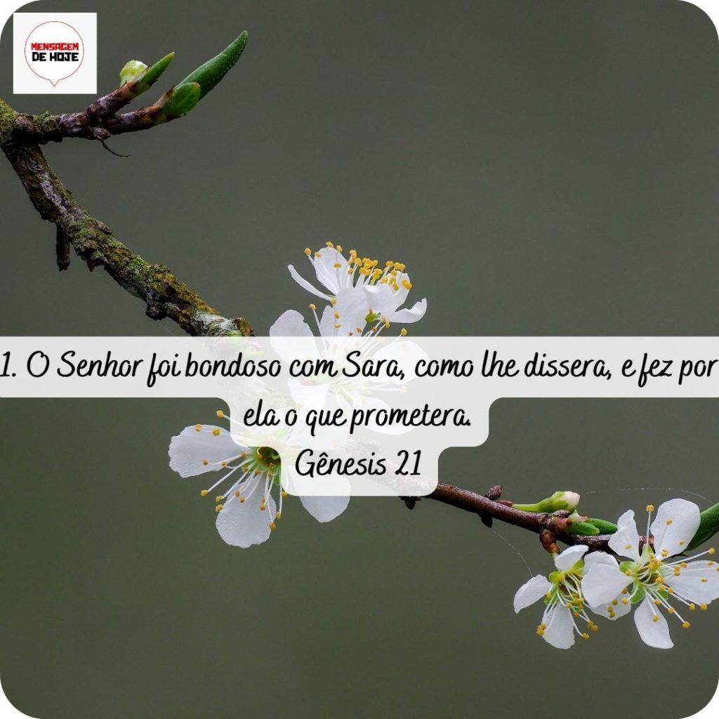 Salmos 21 de abril de 2022 17