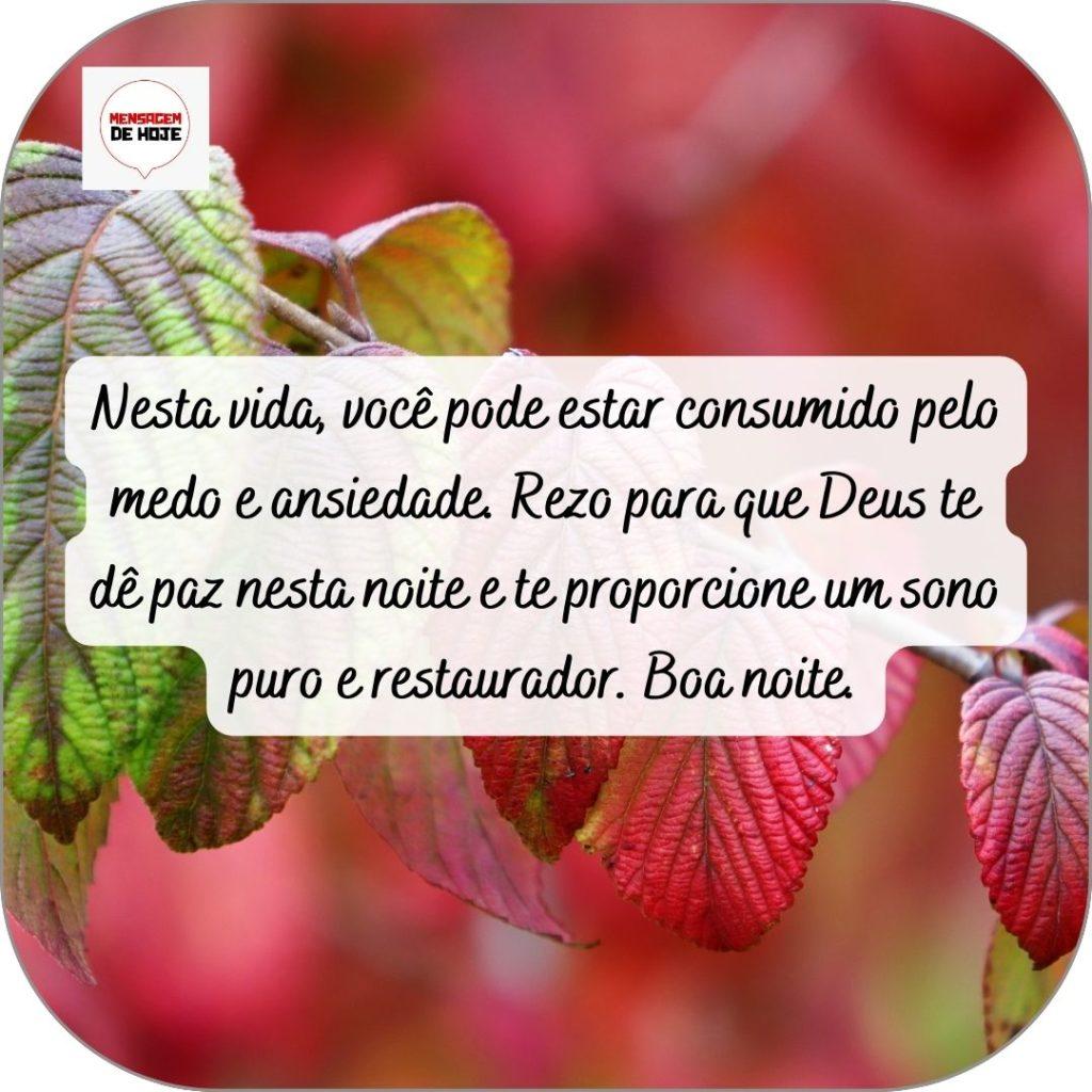 Boa Noite 30 de abril de 2022 19