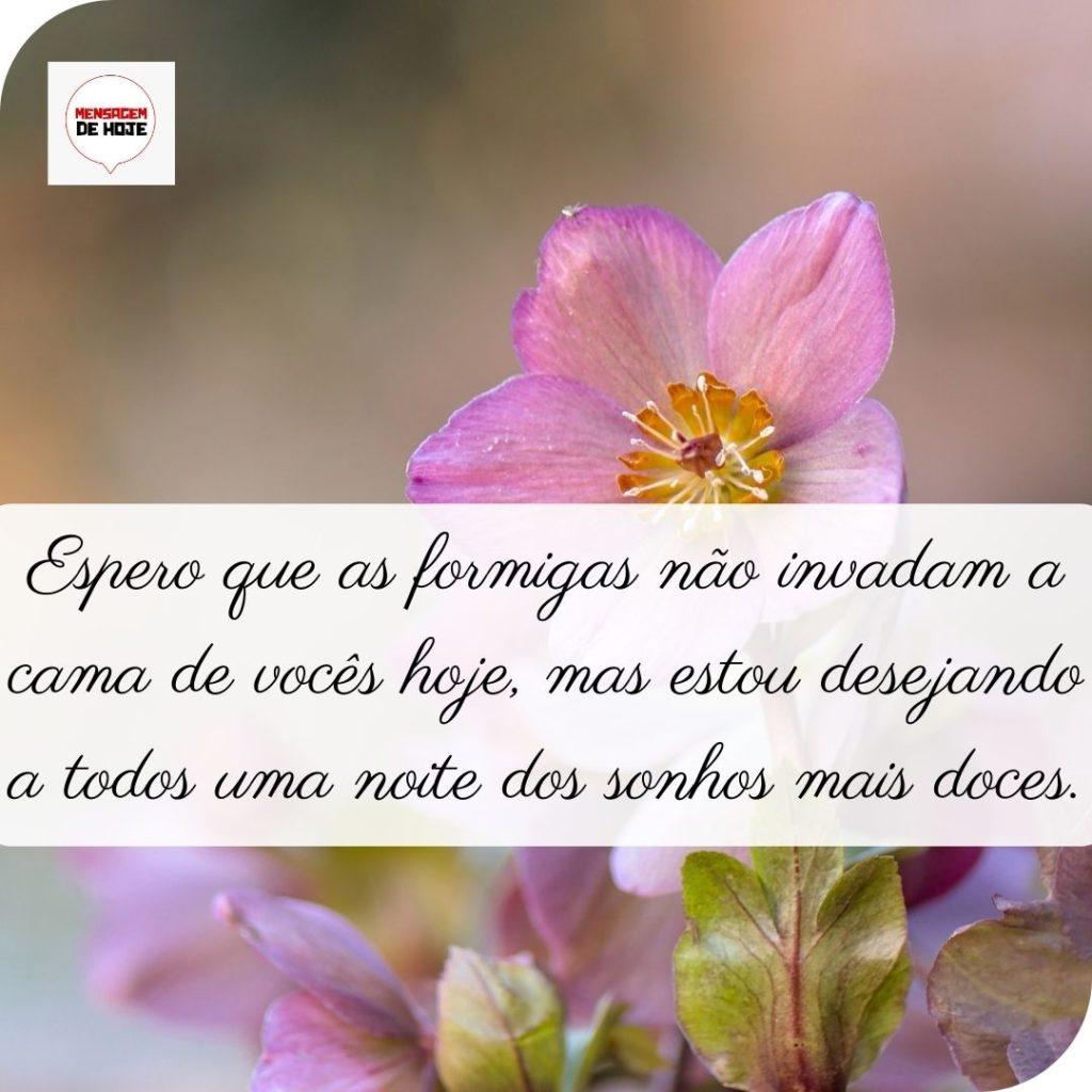 Boa Noite 01 de Maio de 2022 9