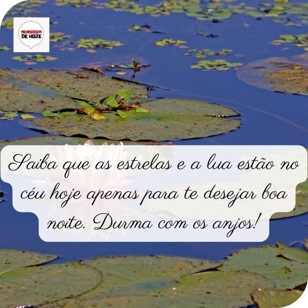 Boa Noite 01 de Maio de 2022 17