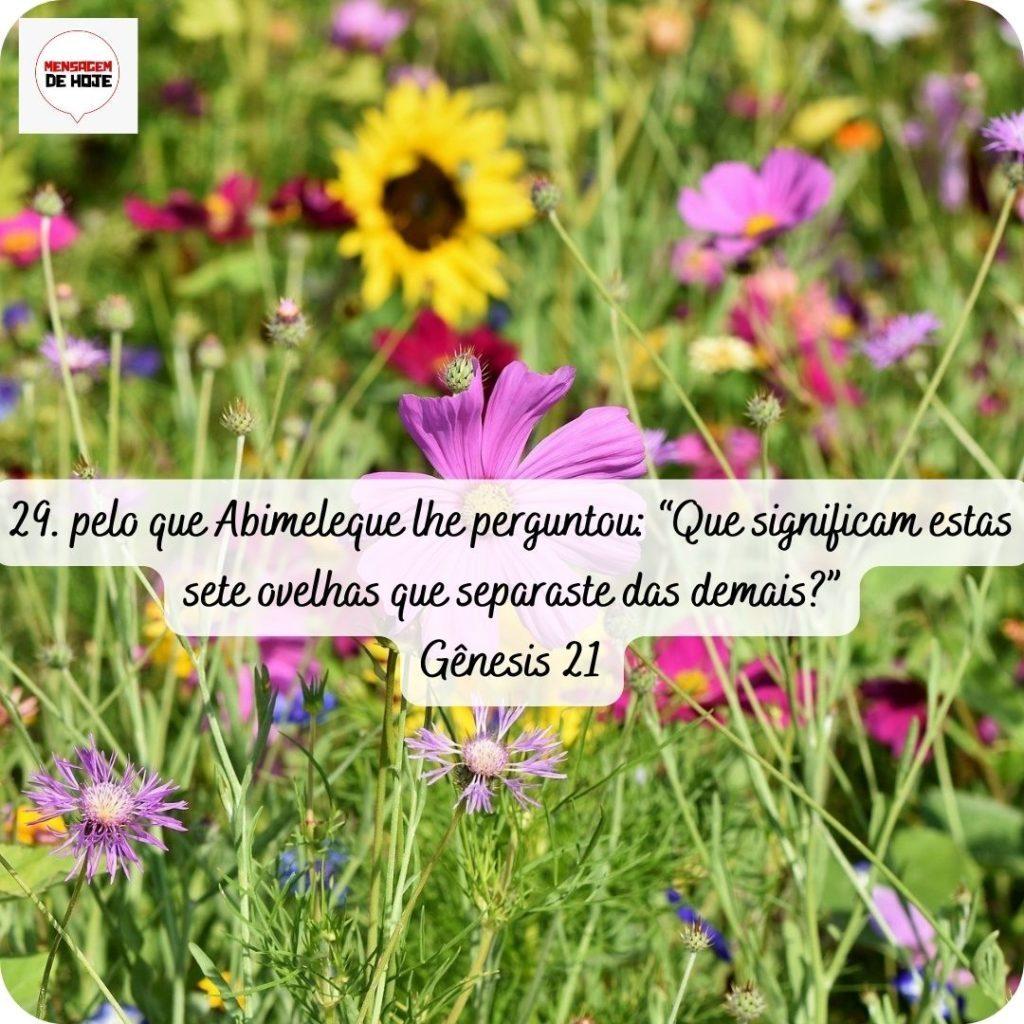 Salmos 24 de abril de 2022 13