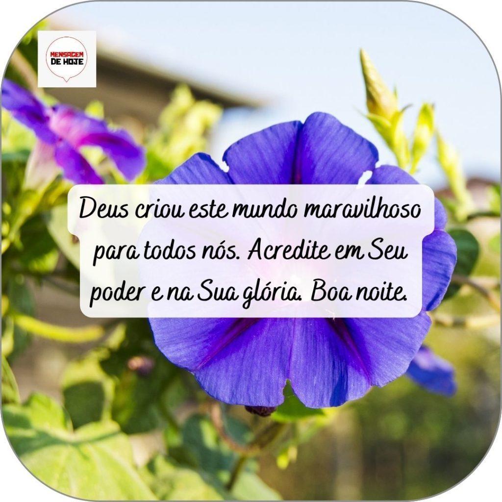 Boa Noite 22 de abril de 2022 17