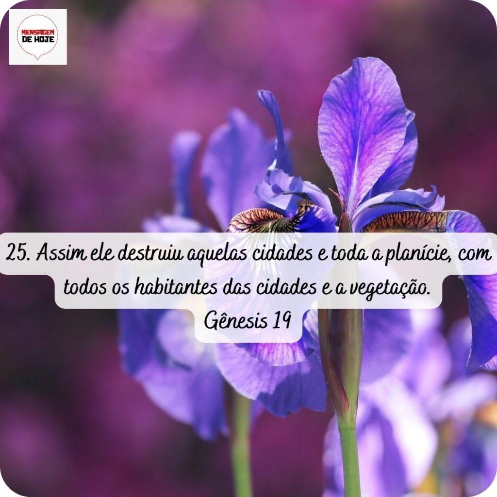 Salmos 17 de abril de 2022 13