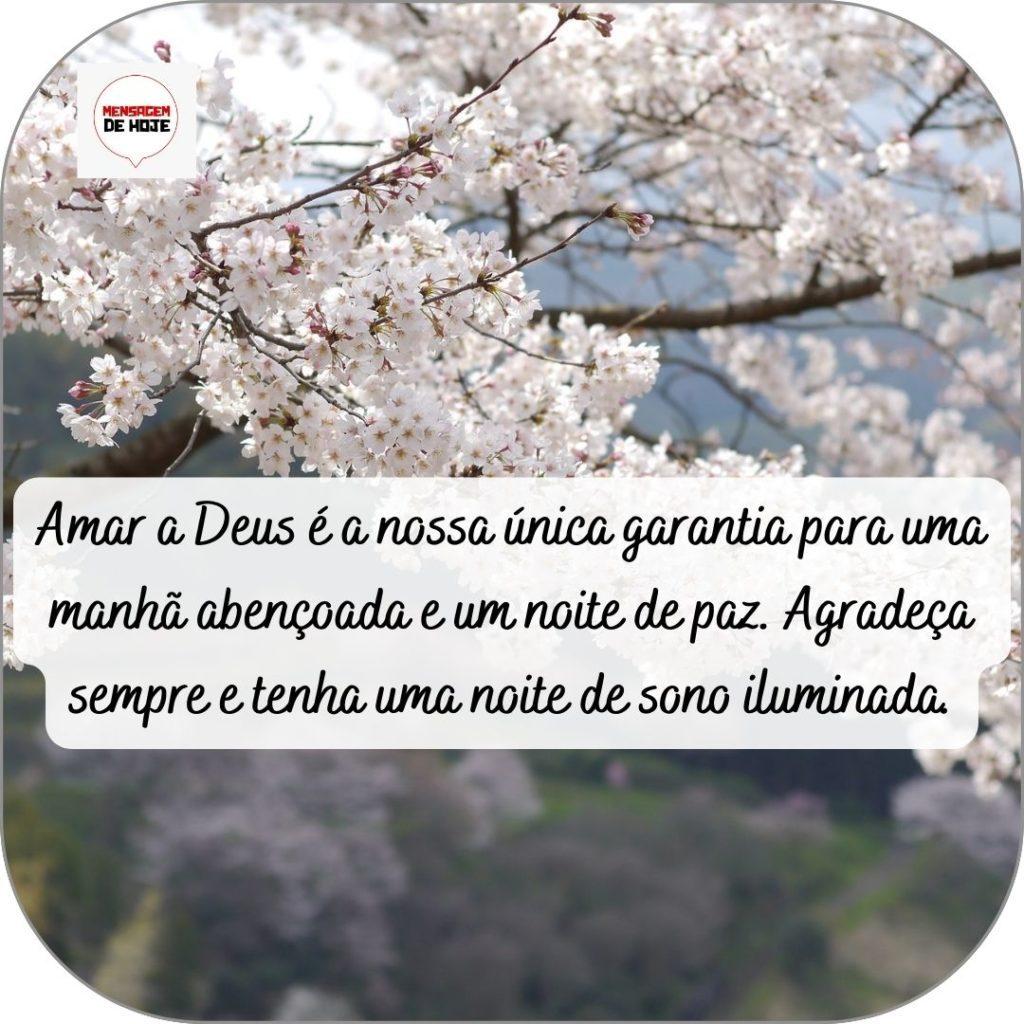 Boa Noite 23 de abril de 2022 1