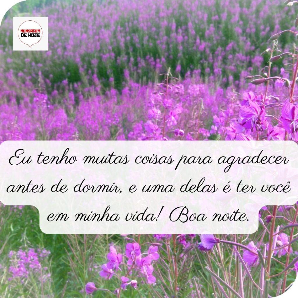 Boa Noite 03 de Maio de 2022 1