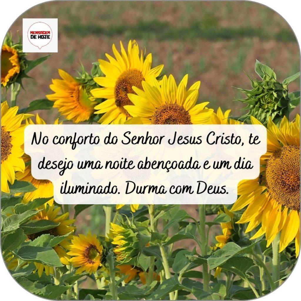Boa Noite 23 de abril de 2022 9