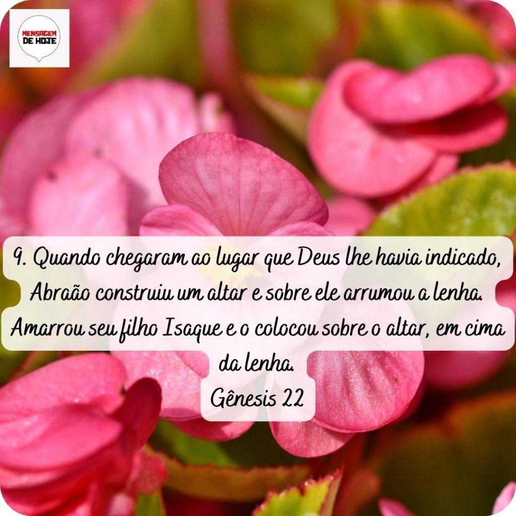 Salmos 29 de abril de 2022 7