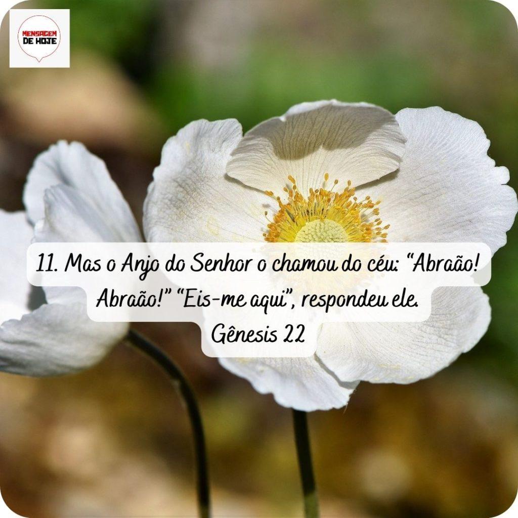 Salmos 29 de abril de 2022 11