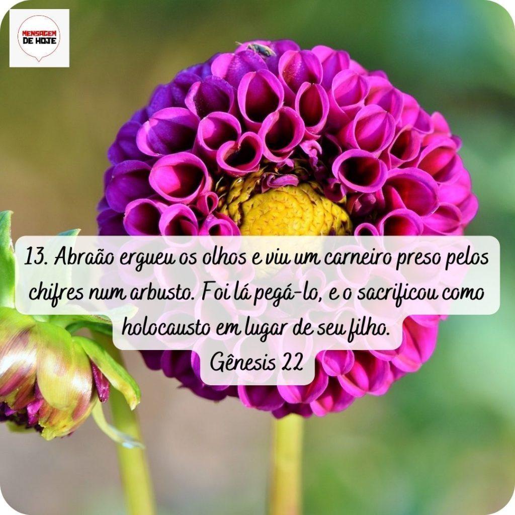 Salmos 29 de abril de 2022 15