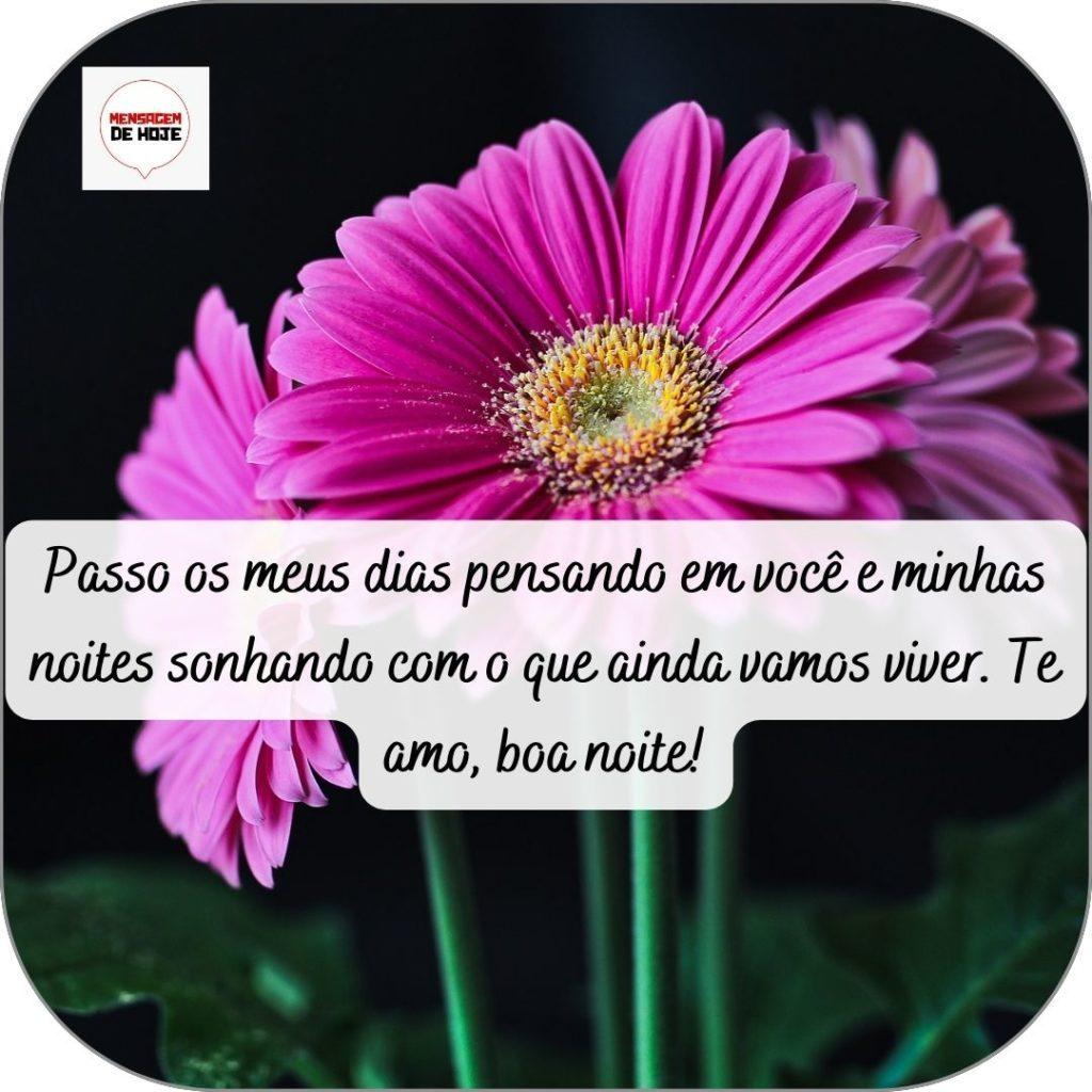 Boa Noite 24 de abril de 2022 13