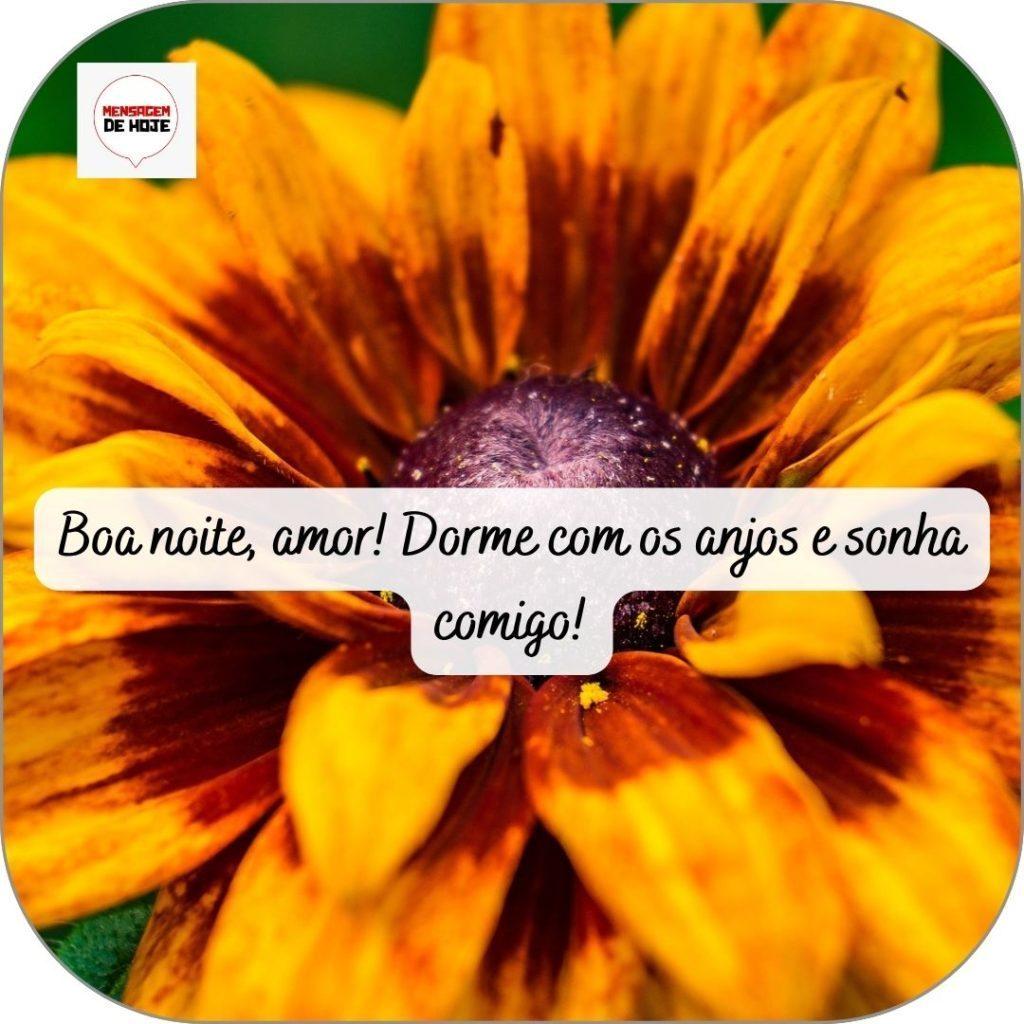 Boa Noite 24 de abril de 2022 17