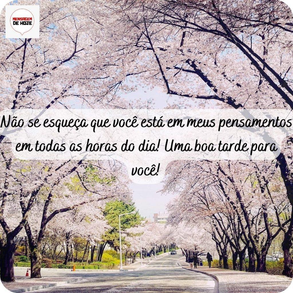 Boa Tarde 13 de abril de 2022 17
