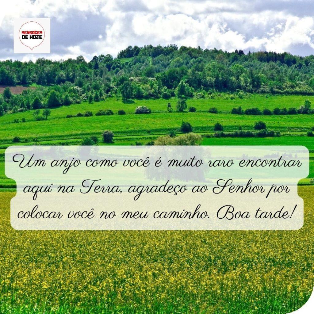 Boa Tarde 23 de abril de 2022 69