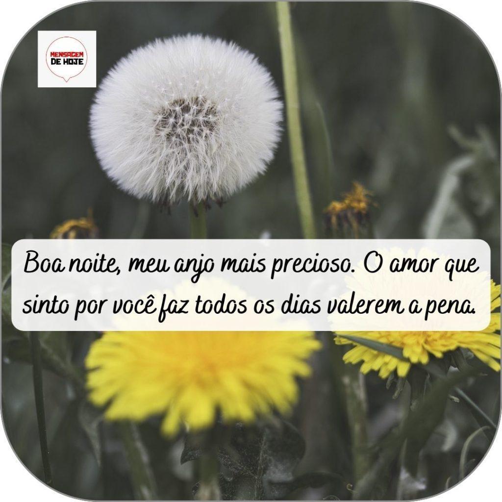 Boa Noite 25 de abril de 2022 5
