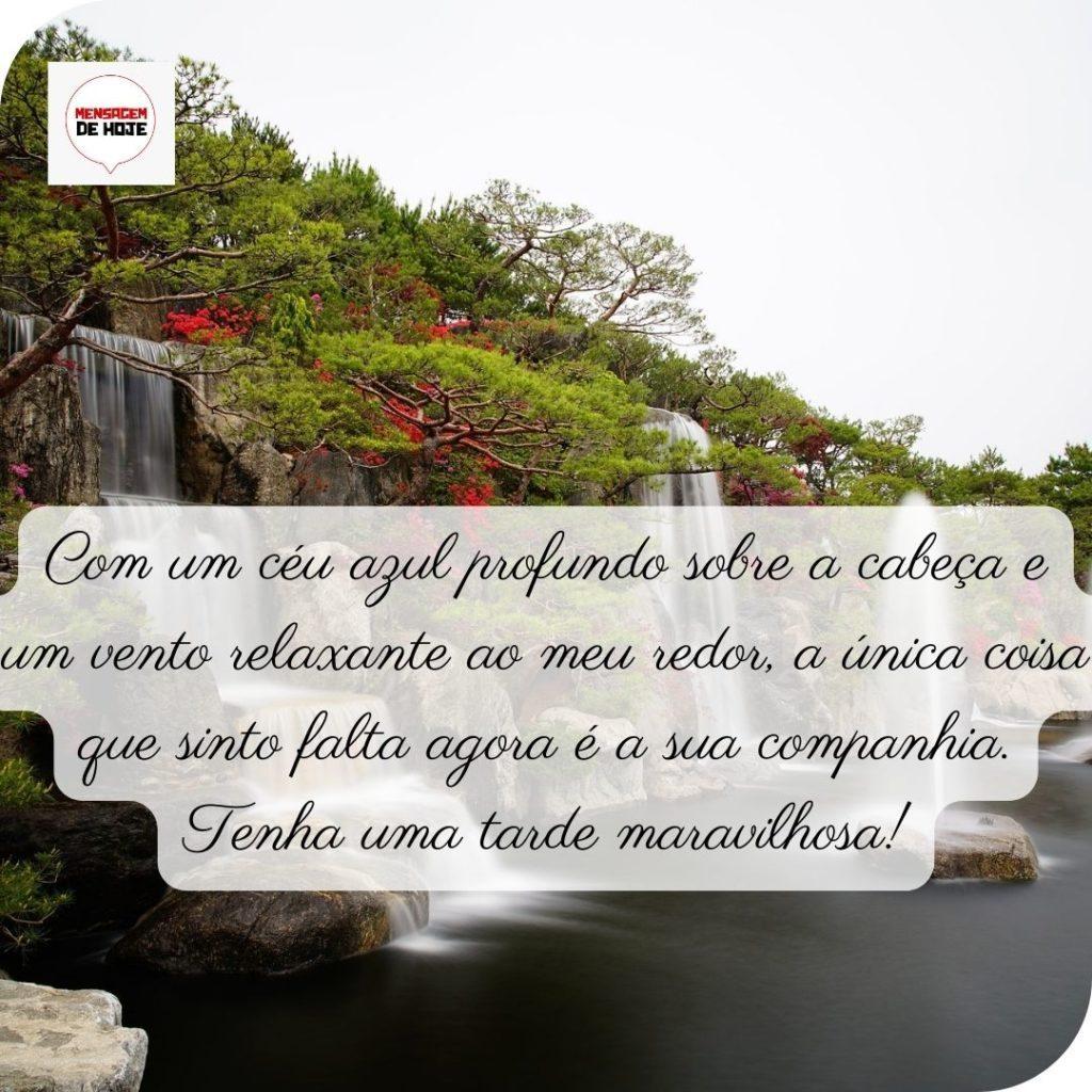 Boa Tarde 23 de abril de 2022 75