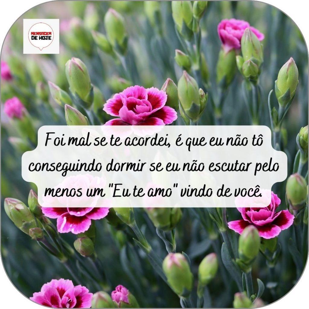 Boa Noite 25 de abril de 2022 13