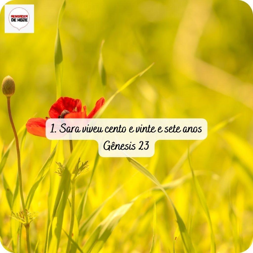Salmos 28 de abril de 2022 19