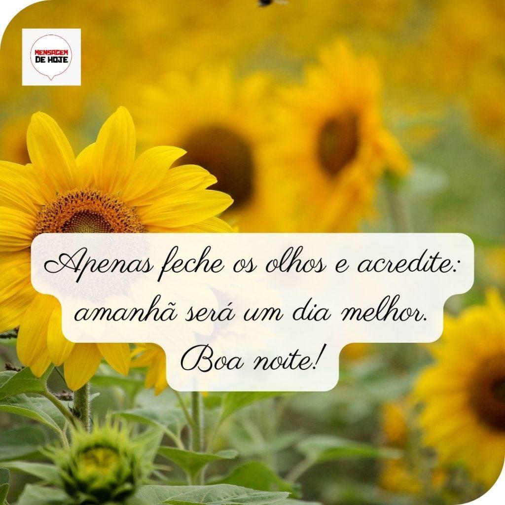 Boa Noite 05 de Maio de 2022 13