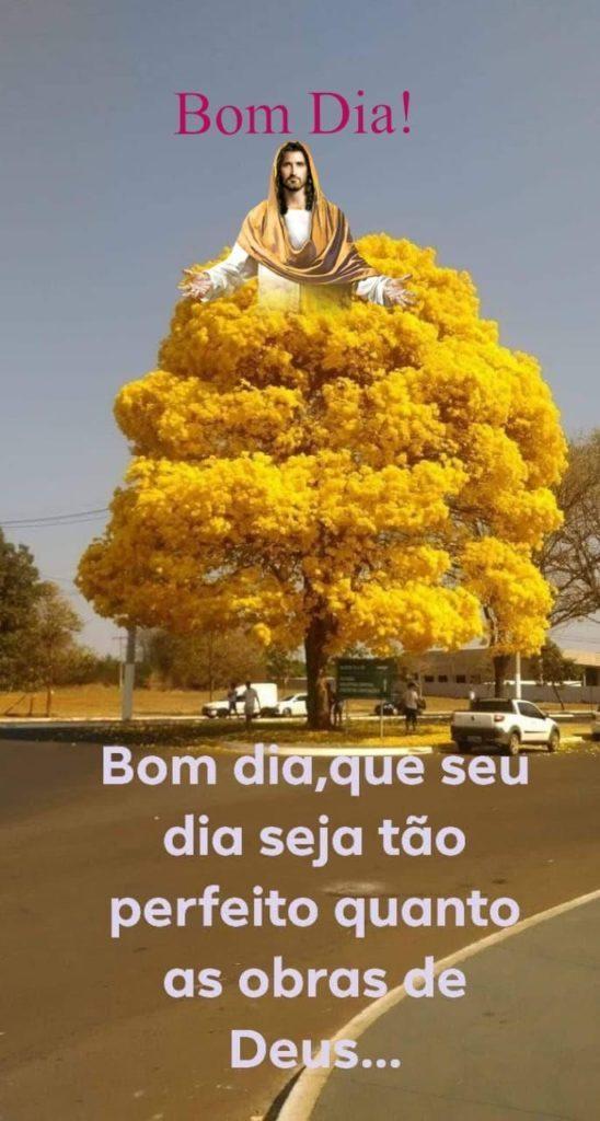 Bom Dia 07 de abril de 2022 53