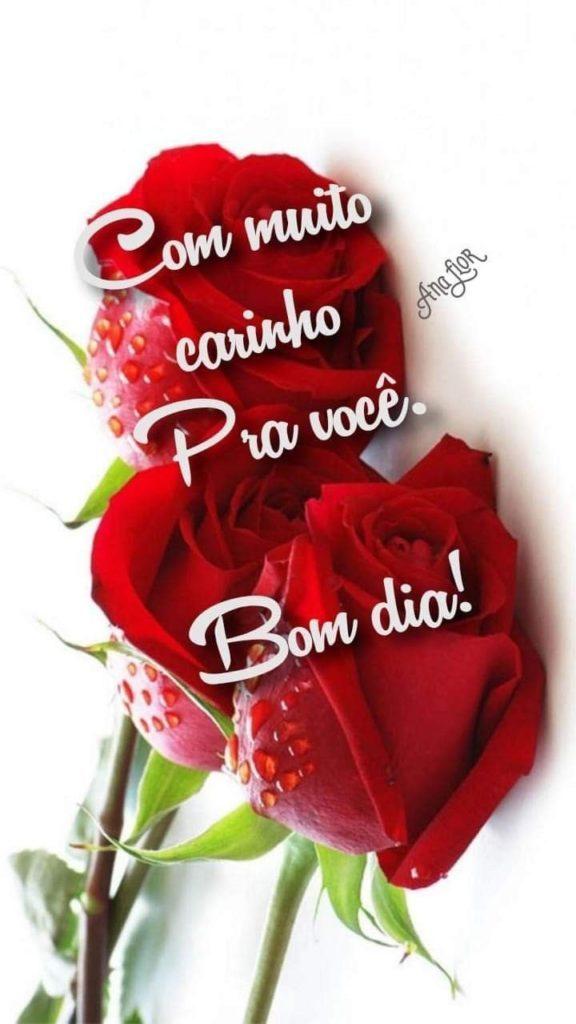 Bom Dia 08 de abril de 2022 49