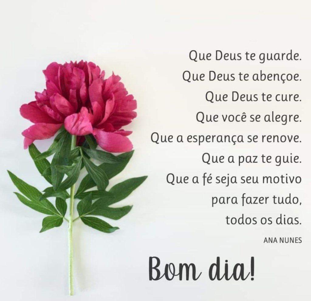Bom Dia 15 de abril de 2022 43
