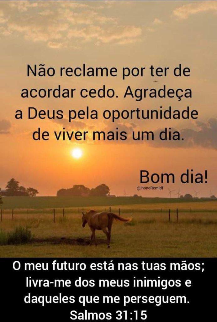 Bom Dia 19 de abril de 2022 23