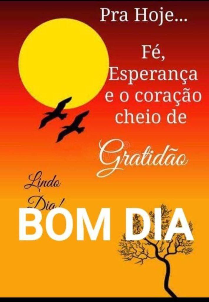 Bom Dia 19 de abril de 2022 35